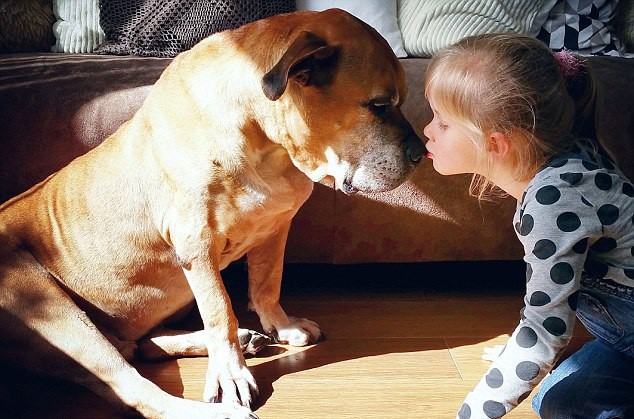 Момиченце се сбогува с кучето си