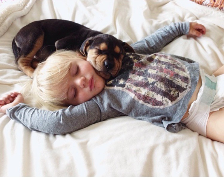 Бонус: Хората с кучета спят по-добре