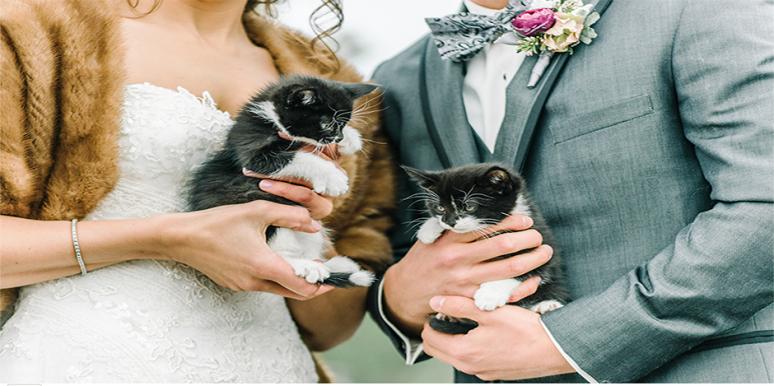 Котета и сватби