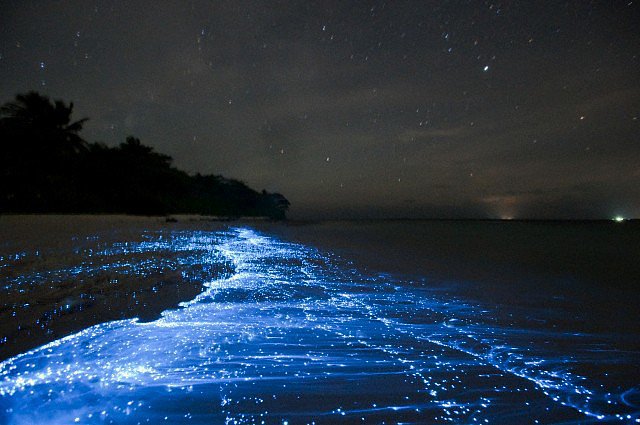 Море от звезди, Малдивите