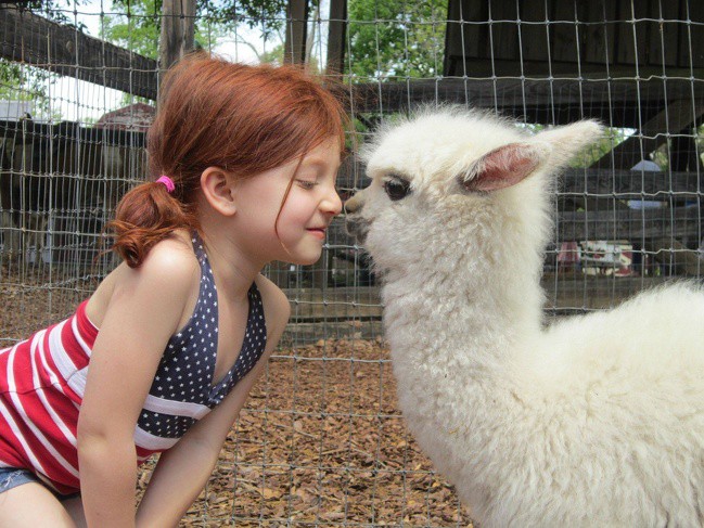 Деца + животни = очарователни²