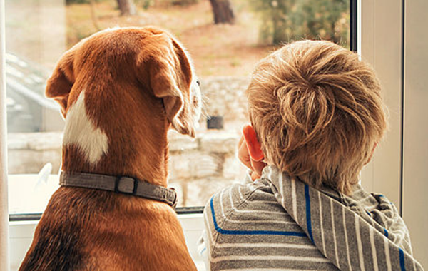 11-те породи кучета, подходящи за семейства с деца