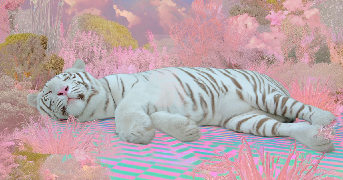 Подреждане на мислите: Китайски хороскоп за ноември