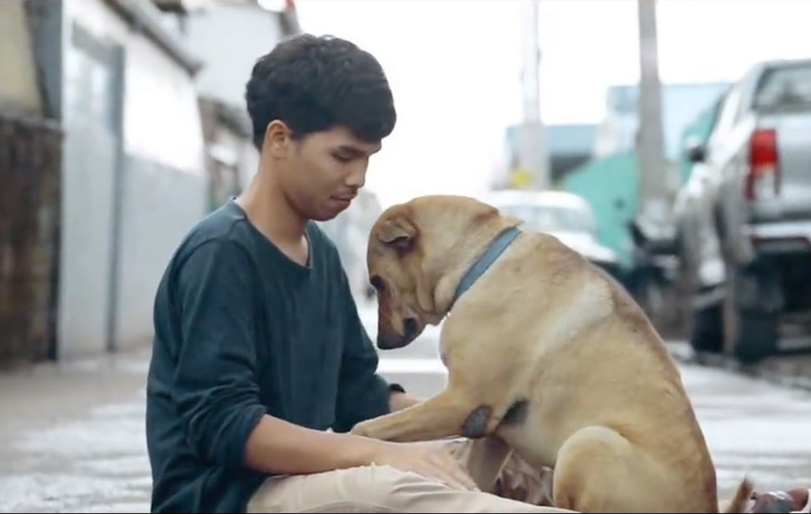 Нека стоплим сърцето ви: Този мъж дарява бездомни кучета с първата им прегръдка