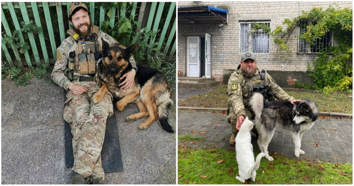 ДОБРОТО побеждава: 30 животинки, спасени от Украински войници