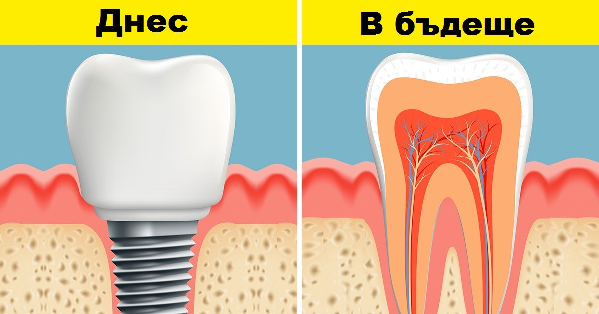 Учени откриха как да накарат зъбите да пораснат отново