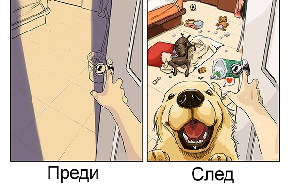 Забавни снимки: Животът преди и след кучето
