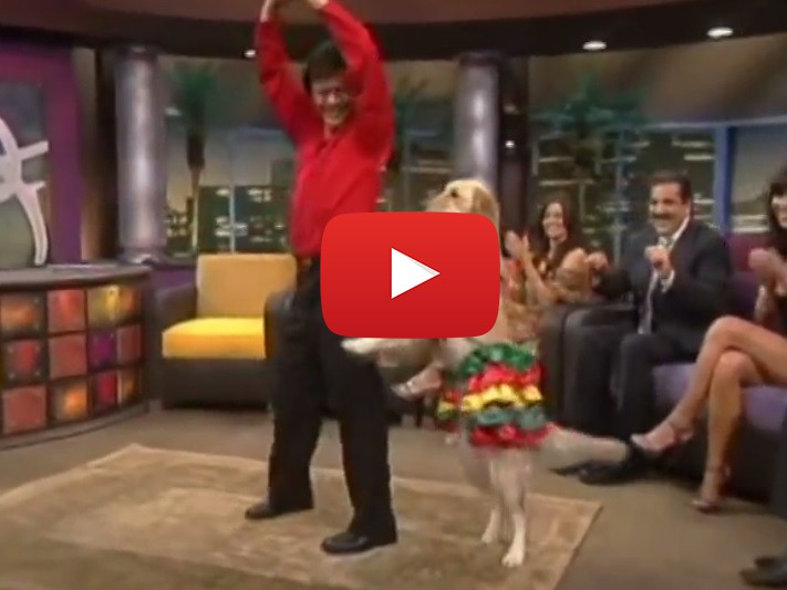 Невероятният танц на кучето Кари (ВИДЕО)