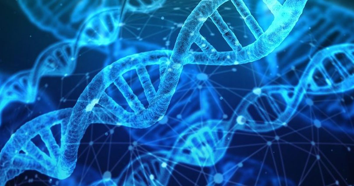 Епигенетика: Какво не знаем за собствените ни гени