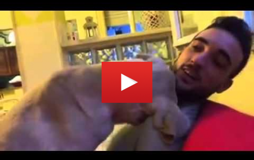 Кучето, което моли за прошка... Това видео ще разтопи сърцата ви!