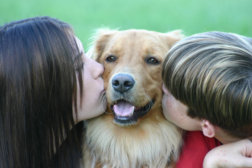 11 неща, за които трябва да внимавате, когато децата ви живеят с куче
