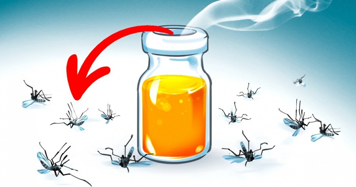 11 миризми, които убиват комарите на мига