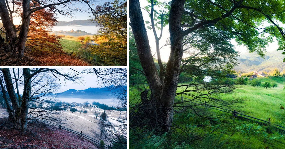 Красотата на природата: Един пейзаж - различни сезони
