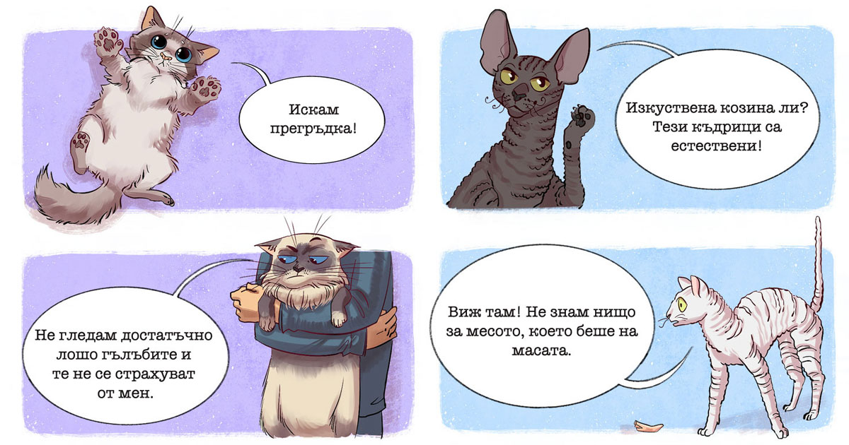 Забавни комикси: Подробен наръчник за характера на любимите ни котки