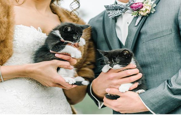 Очарователно: Котета бяха почетни гости на тази сватба