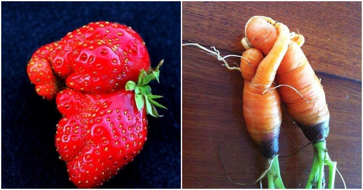23 плодове и зеленчуци, които приличат на нещо съвсем различно