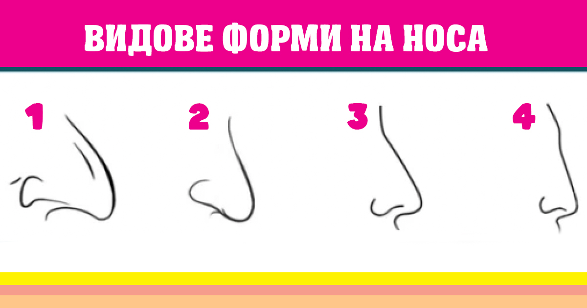 Тест: Изберете формата на носа си, a ние ще разкрием всички тайни на вашия характер