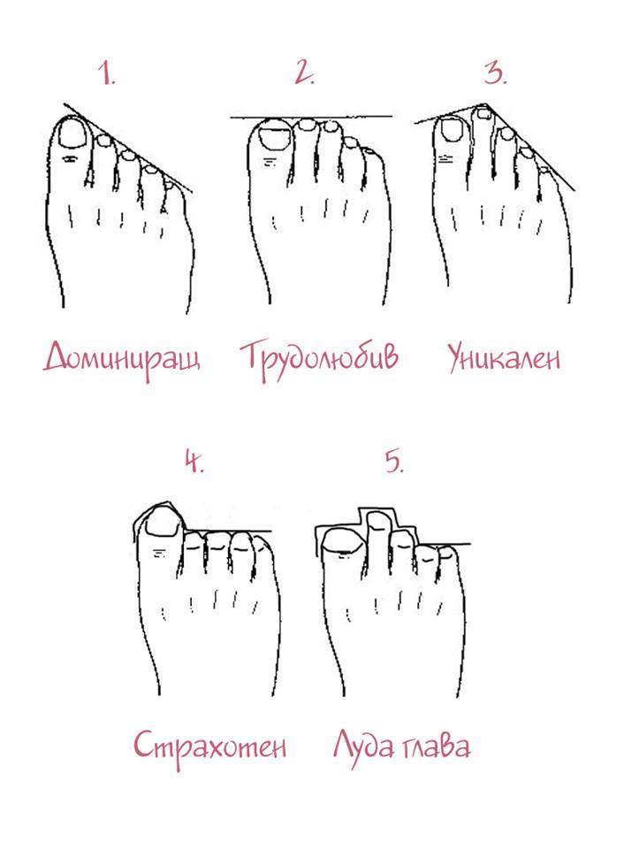 Формата на пръстите на краката, издава същността ти