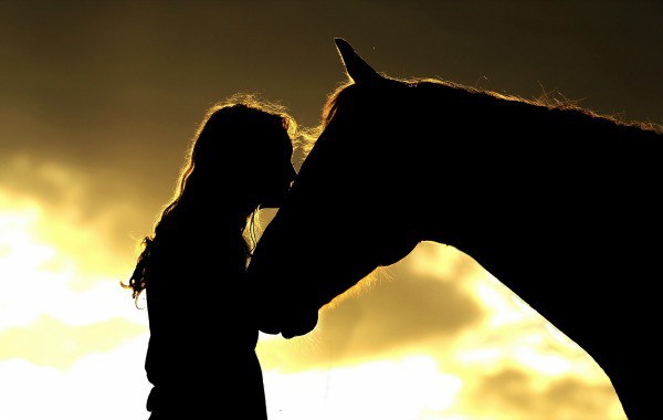 За жените и конете... За свободата и за любовта...
