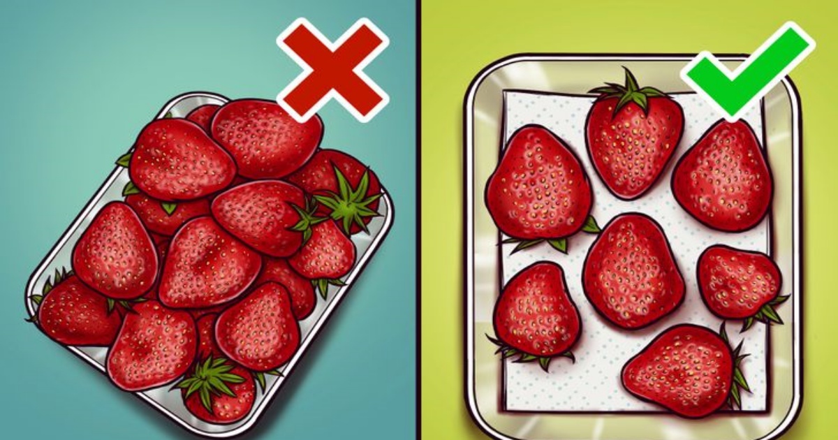 Как да поддържаме плодовете и зеленчуците свежи по-дълго