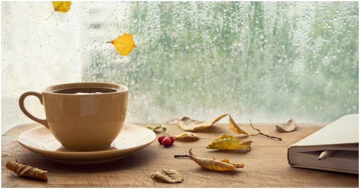Силата на чая: 7 причини да пием вкусната напитка