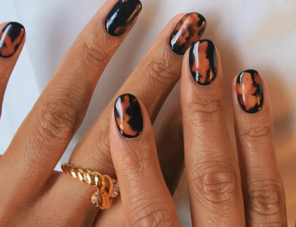 Костенуркова черупка