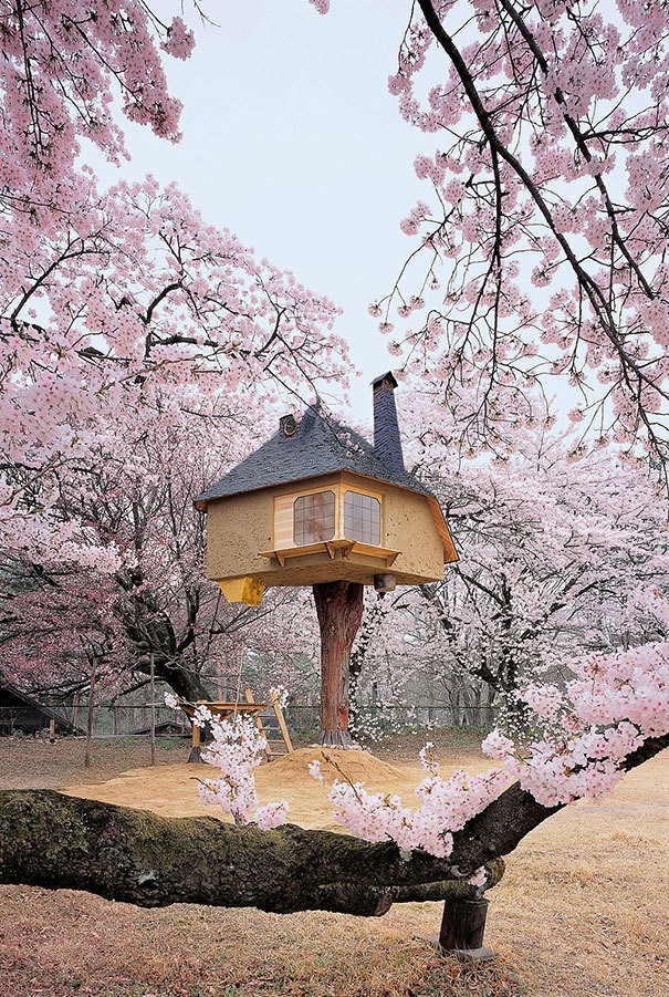 Чаената къща на дърво, Япония
