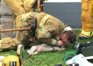 Пожарникарят, който спаси куче