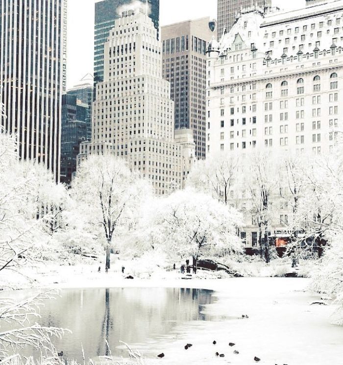Ню Йорк е покрит със сняг