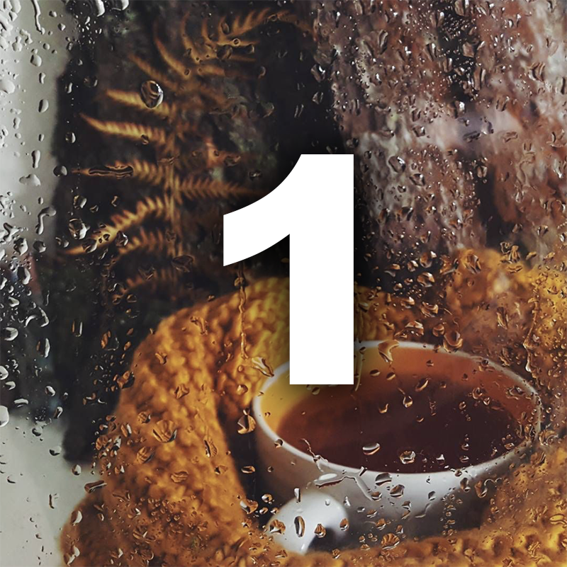 Ноември ти носи