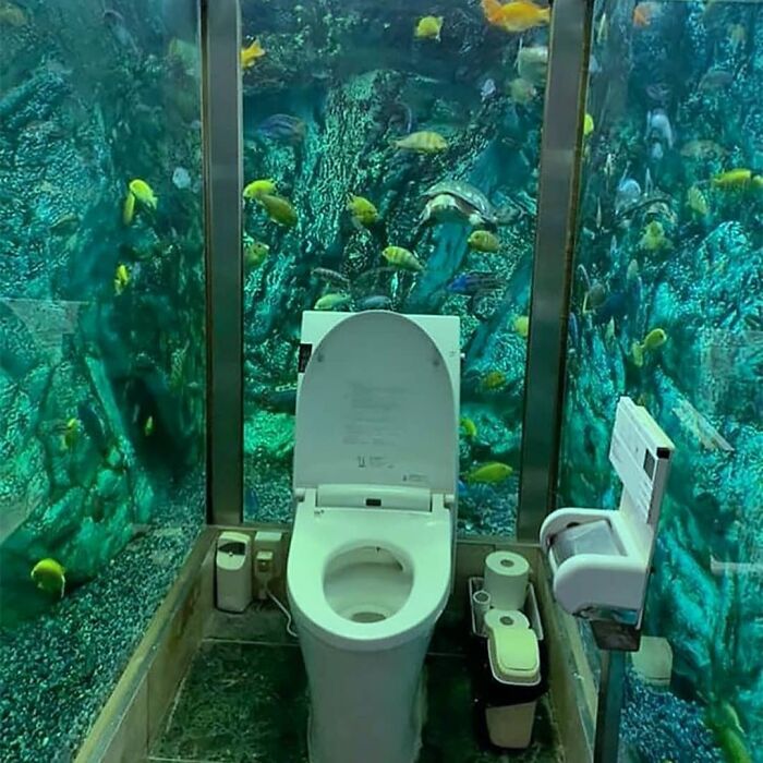 Тоалетна в аквариума