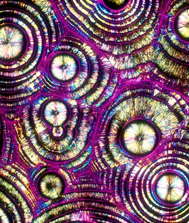 Под микроскоп