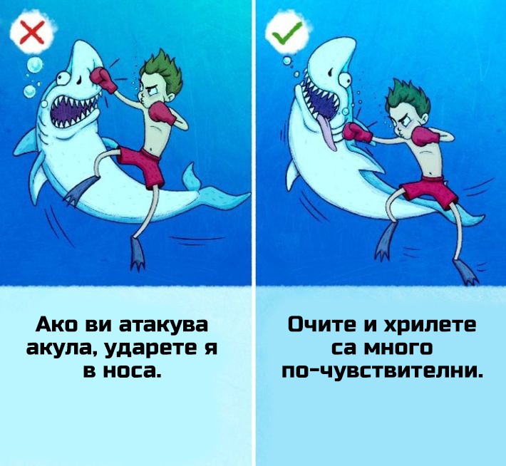 Атака от акула