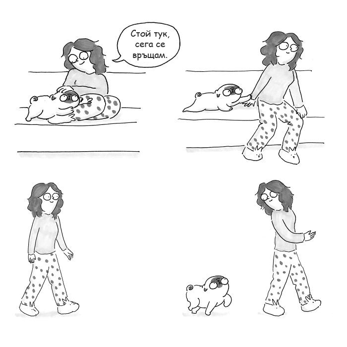 Какво е да имаш куче