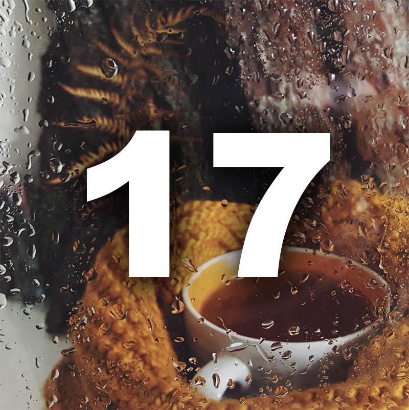 Ноември ти носи