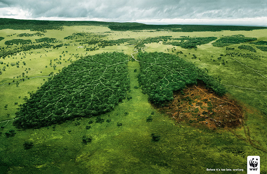 Да спрем унищожаването на горите