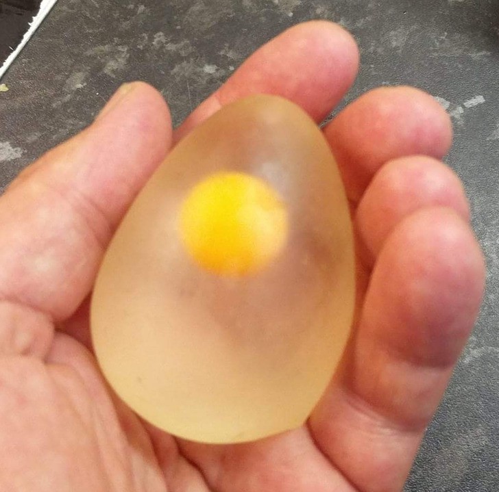 Обелено сурово яйце 