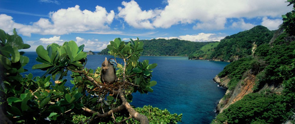 Кокосовите острови, Коста Рика
