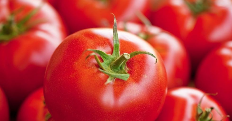 Сприятелете се с доматите