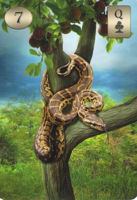 Змия