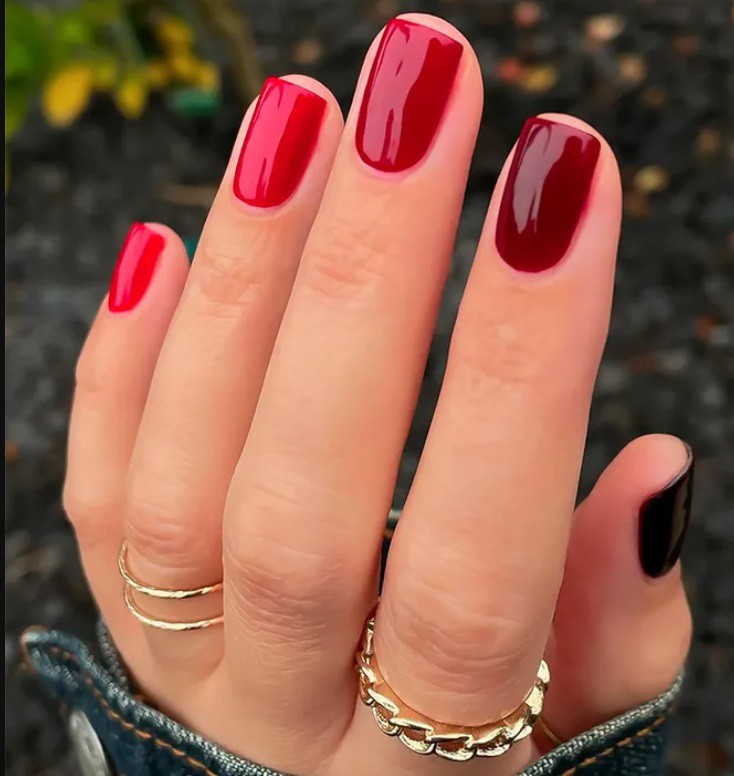 Различни нюанси червенa боровинкa