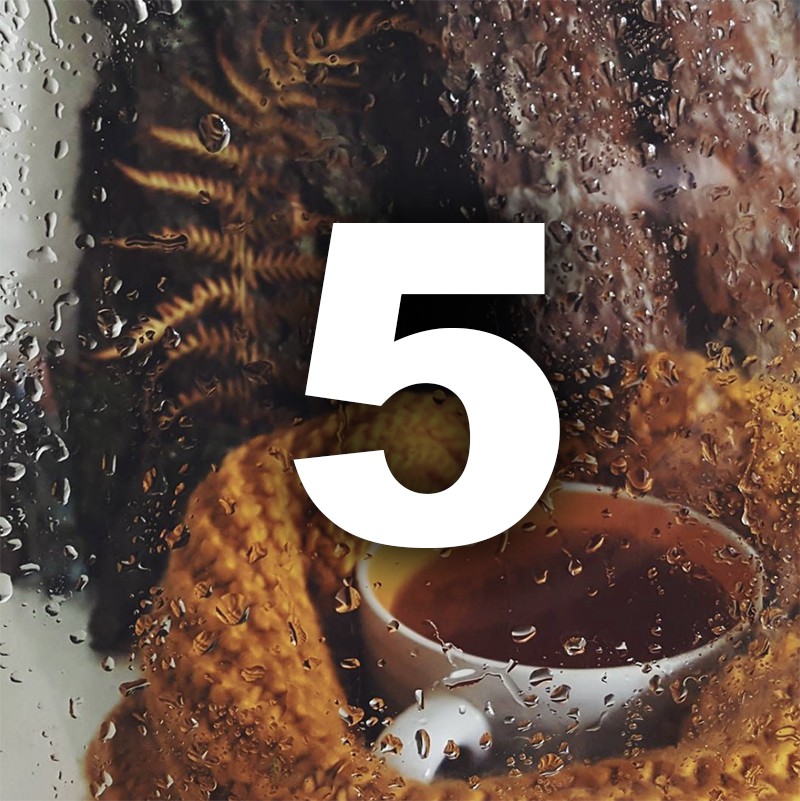 Ноември ти носи