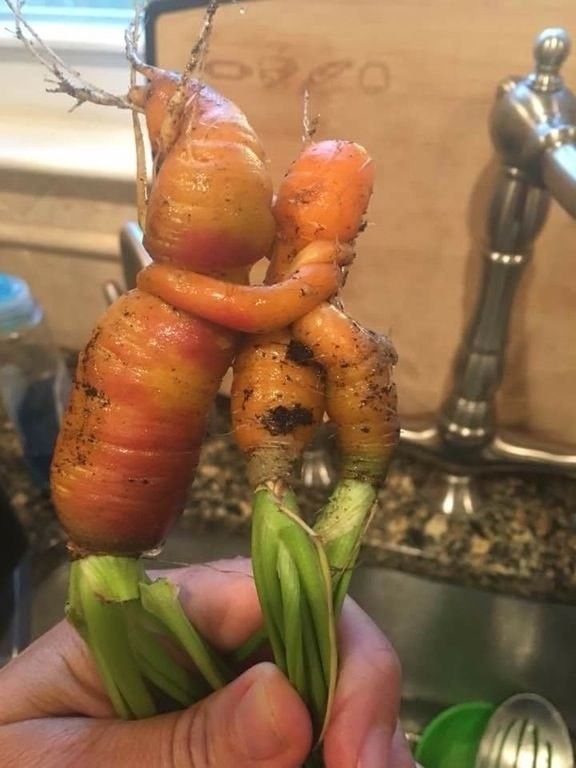 Зеленчукова любов