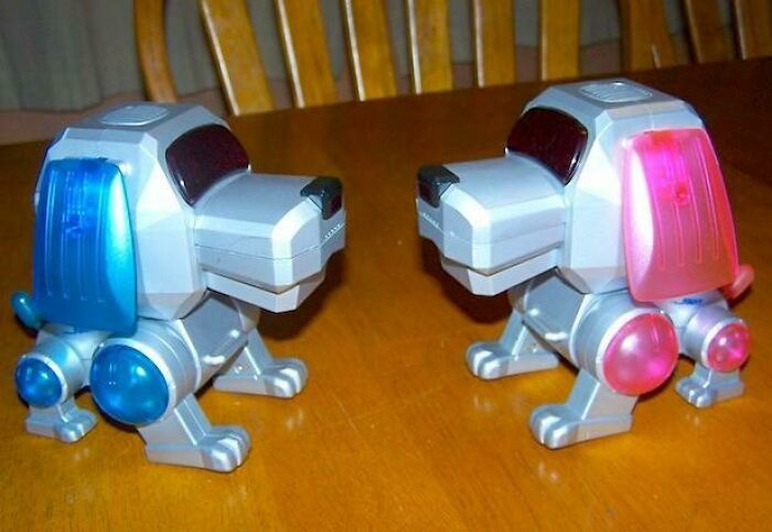 Кучета роботи