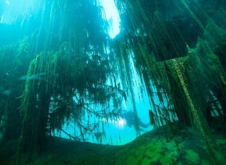 Подводна гора