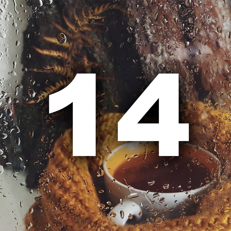 Ноември ти носи