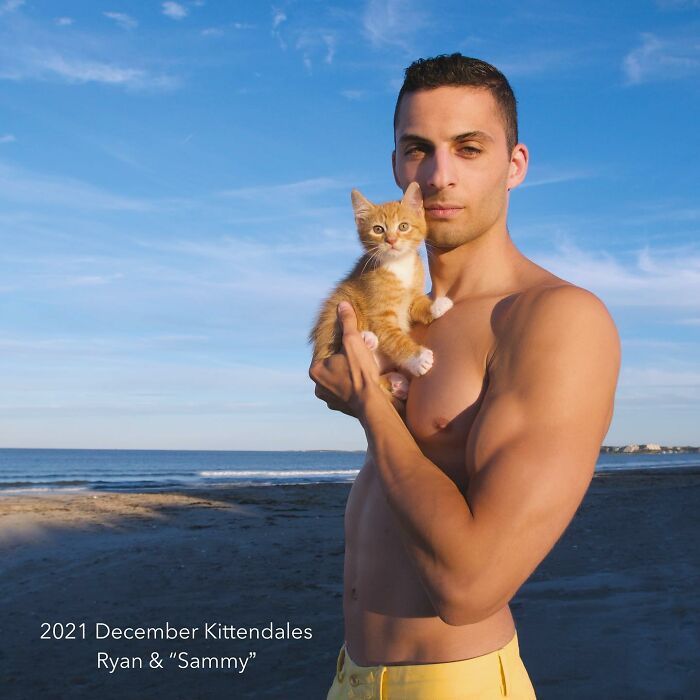 Китендейлс - календарът на котенцата 