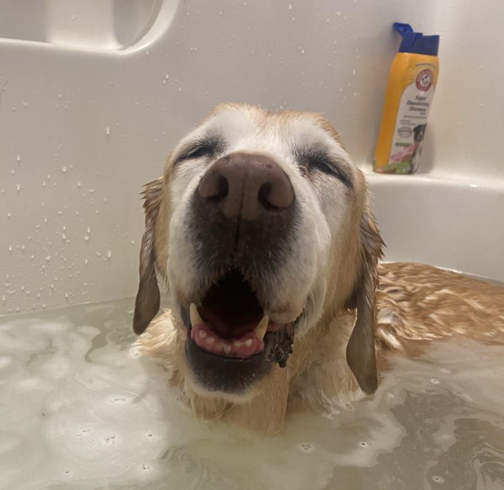 Някой обича къпането