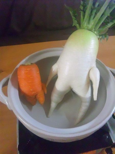 Морков и ряпа на среща...