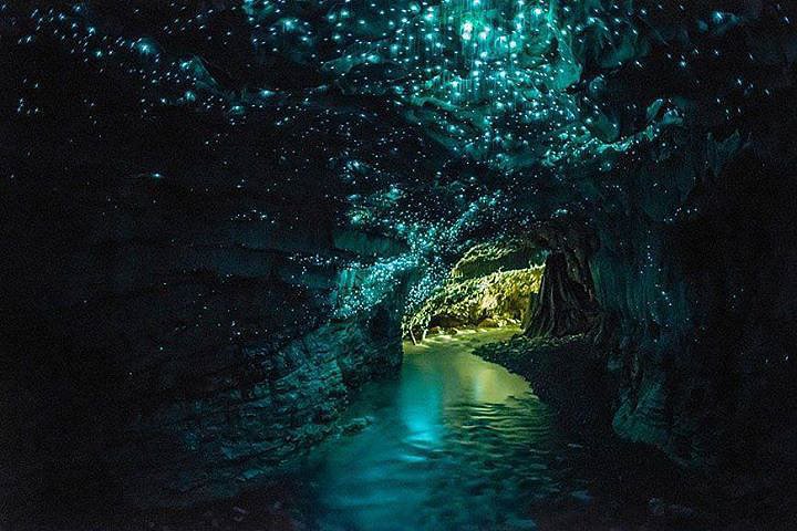 Пещерата на светулките, Нова Зеландия